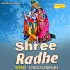 About Shree Radhe Song